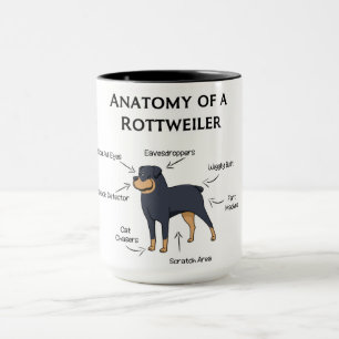 Anatomi hos en rotweiler mugg