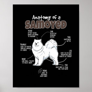 Anatomi hos en Samoyed för Päls Mamma Pappa Kärlek Poster