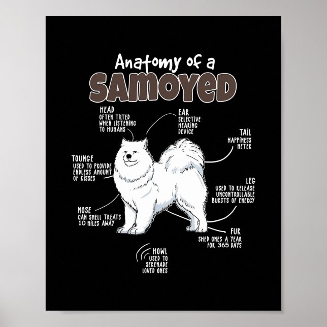 Anatomi hos en Samoyed för Päls Mamma Pappa Kärlek Poster (Framsidan)