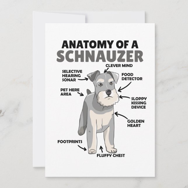 Anatomi hos en Schnauzer Cute Hund Puppy Inbjudningar (Framsida)