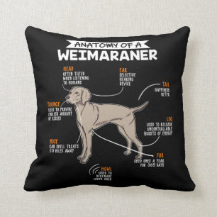 Anatomi hos en Weimaraner-Hund Kudde