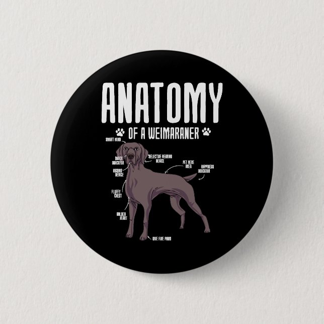 Anatomi hos en Weimaraner Knapp (Framsida)