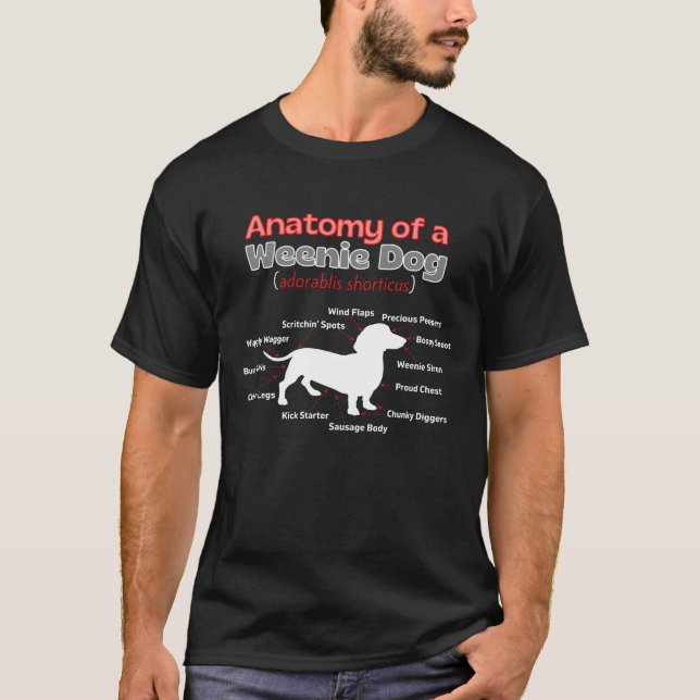 Anatomi hos en Wiener-Hund, diagram över halvledar T Shirt (Framsida)