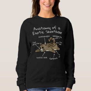 Anatomi hos ett exotiskt Shorthair Cat Pet T Shirt