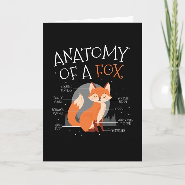 Anatomi hos ett Fox Cute Fox-skogsdjur Kort (Framsida)