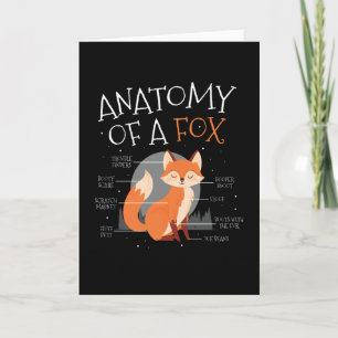 Anatomi hos ett Fox Cute Fox-skogsdjur Kort