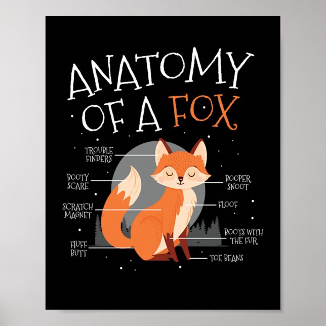 Anatomi hos ett Fox Cute Fox-skogsdjur Poster (Framsidan)