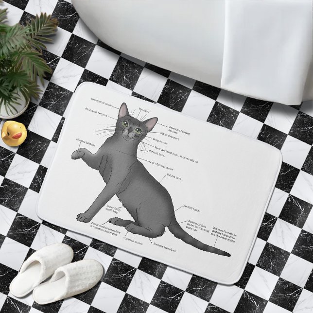 Anatomi hos ett katt badrumsmatta (Skapare uppladdad)