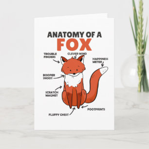 Anatomi hos fox (sötfox) kort