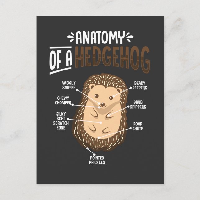 Anatomi hos Hedgehog Älskare cute Forest Animal Vykort (Framsida)