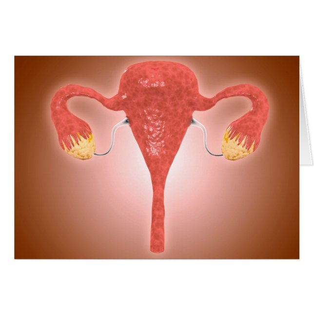 Anatomi hos hondjur av Uterus med äggstockar Hälsningskort (Framsidan Horizontal)