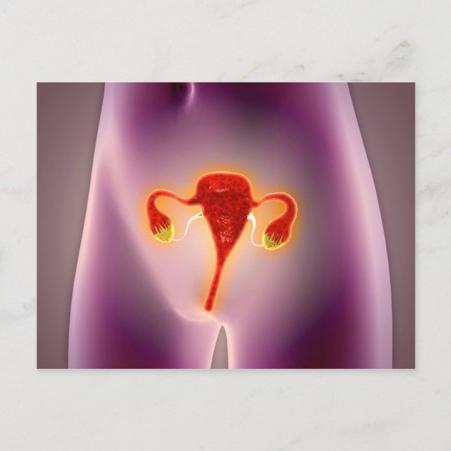 Anatomi hos kvinnlig kropp med Uterus Vykort (Framsida)