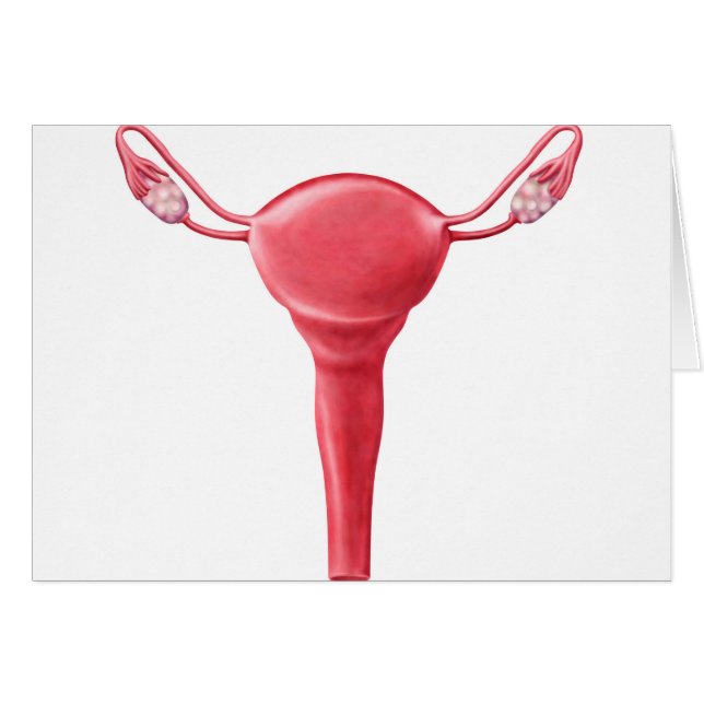 Anatomi hos kvinnligt Uterus 2 Hälsningskort (Framsidan Horizontal)