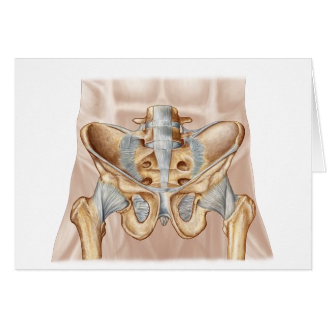 Anatomi i bensen och ligamenten hos människa hälsningskort (Framsidan Horizontal)
