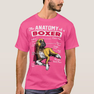 Anatomi i en boxare Hund tröja - Rolig tröja för l