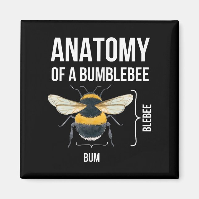 Anatomi i en Bumblebee Funny Sarcastic Humor-citat Magnet (Framsidan)