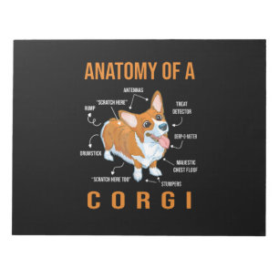 Anatomi i en Corgi-Rolig hund Anteckningsblock