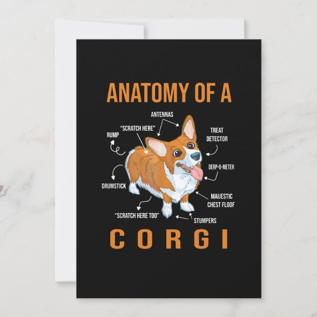 Anatomi i en Corgi-Rolig hund Spara Datumet (Framsida)