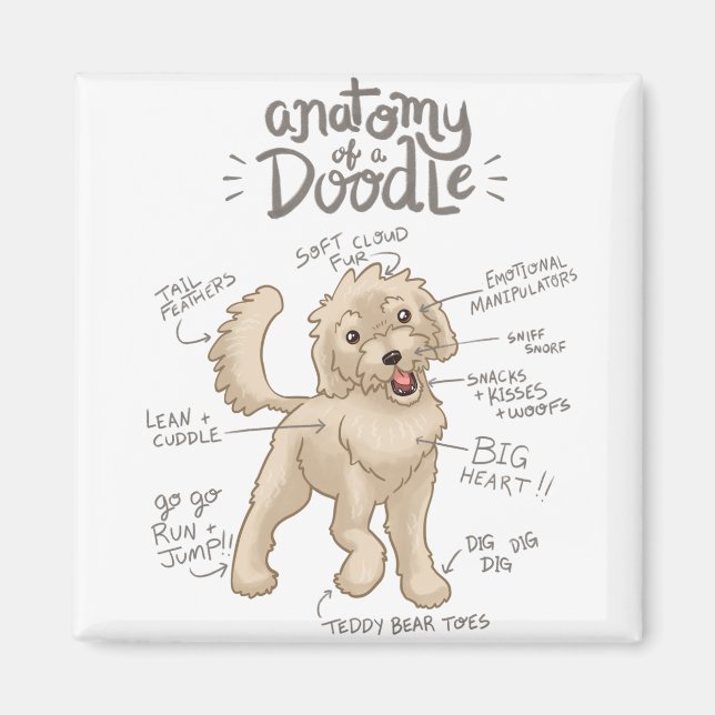 Anatomi i en Doodle-Hund Magnet (Framsidan)