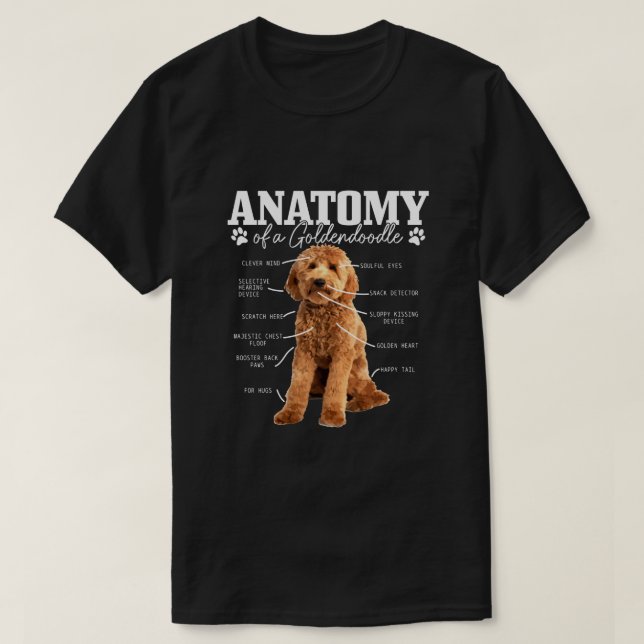 Anatomi i en Goldendoodle Funny Cute Hund Doodle M T Shirt (Design framsida)