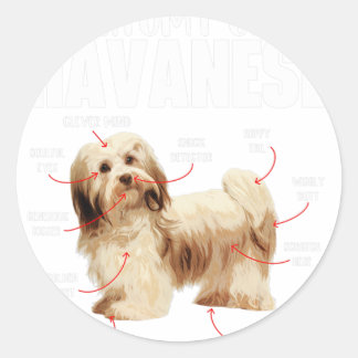 Anatomi i en Havanese - Cuban Havaneser Havanezer Runt Klistermärke