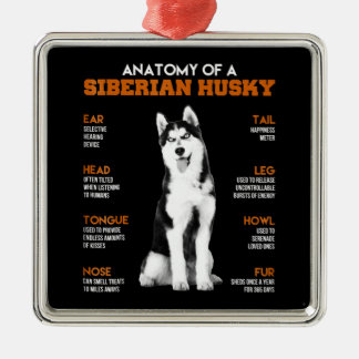 Anatomi i en lustig konst i Siberian husky hundar Julgransprydnad Metall
