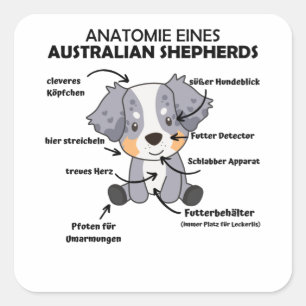 Anatomi i ett Australian shepherd Sweet Hundar Fyrkantigt Klistermärke