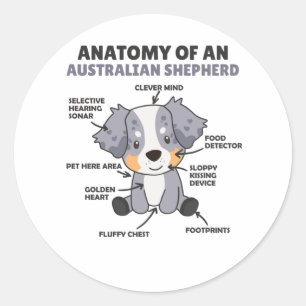 Anatomi i ett Australian shepherd Sweet Hundar Runt Klistermärke