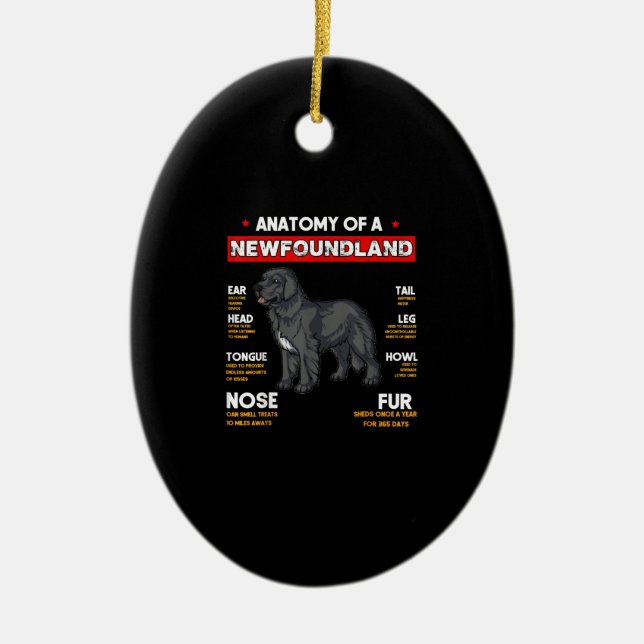 Anatomi i ett Newfoundland Hundar Älskare Julgransprydnad Keramik (Framsidan)