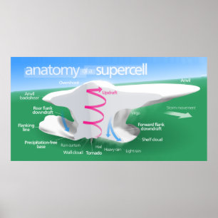 Anatomi i ett Supercell Storm Diagram Poster