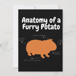 Anatomi i Hårig potatis Cute Guinea Gris Meddelande