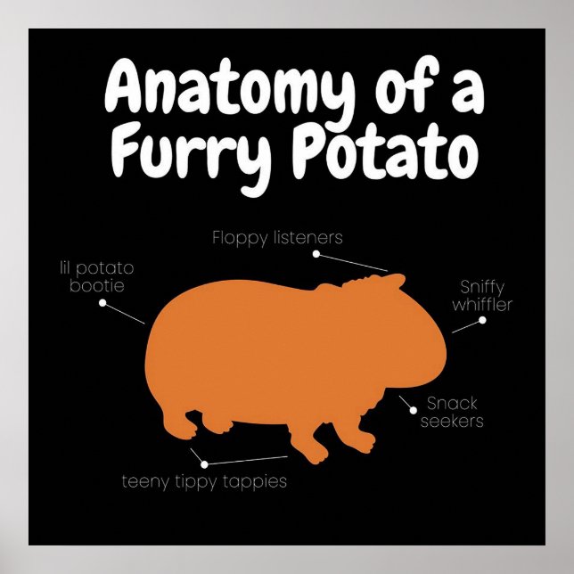 Anatomi i Hårig potatis | Cute Guinea Gris Poster (Framsidan)