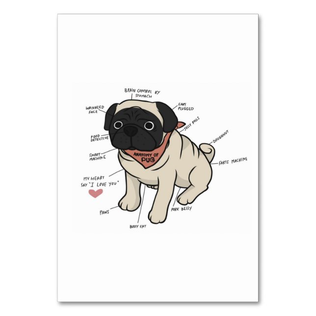 Anatomi i Pug Hund Chart Bordsnummer (Framsidan)