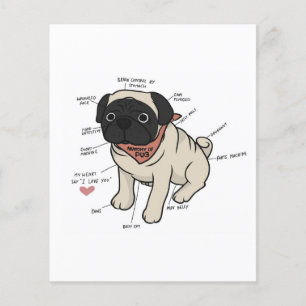 Anatomi i Pug Hund Chart Flygblad
