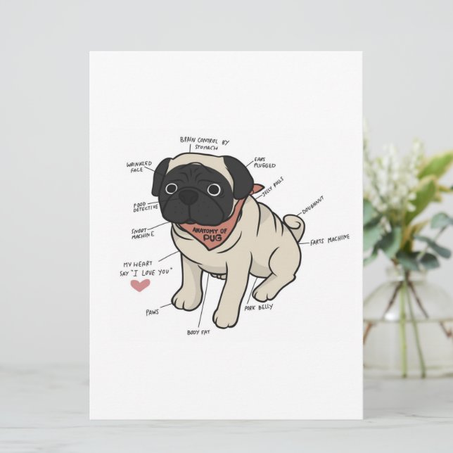 Anatomi i Pug Hund Chart Meny (Stående Fram)
