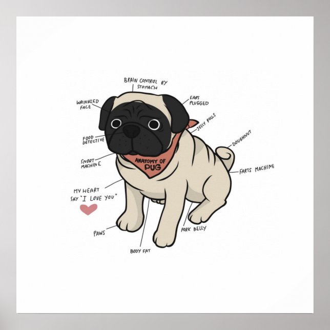 Anatomi i Pug Hund Chart Poster (Framsidan)