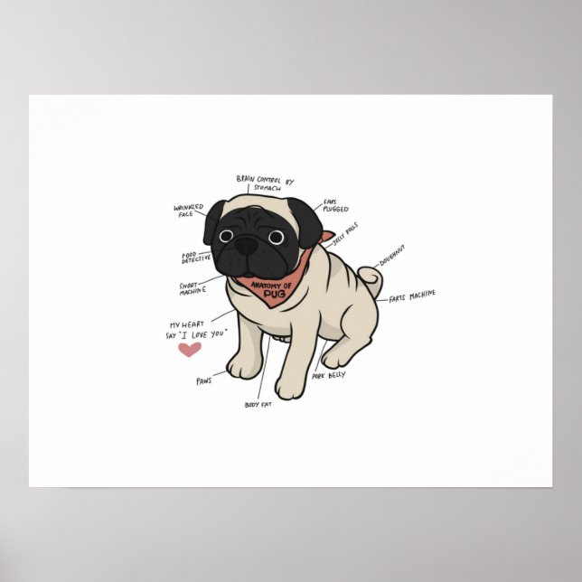 Anatomi i Pug Hund Chart Poster (Framsidan)