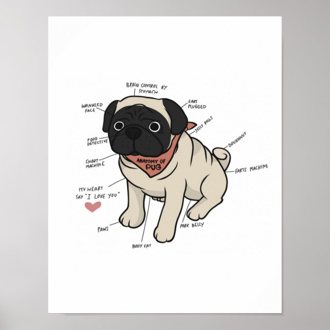 Anatomi i Pug Hund Chart Poster (Framsidan)