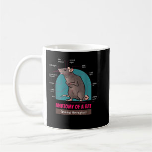 Anatomi i Råtta Rattus Norvegious Råttor Kaffemugg