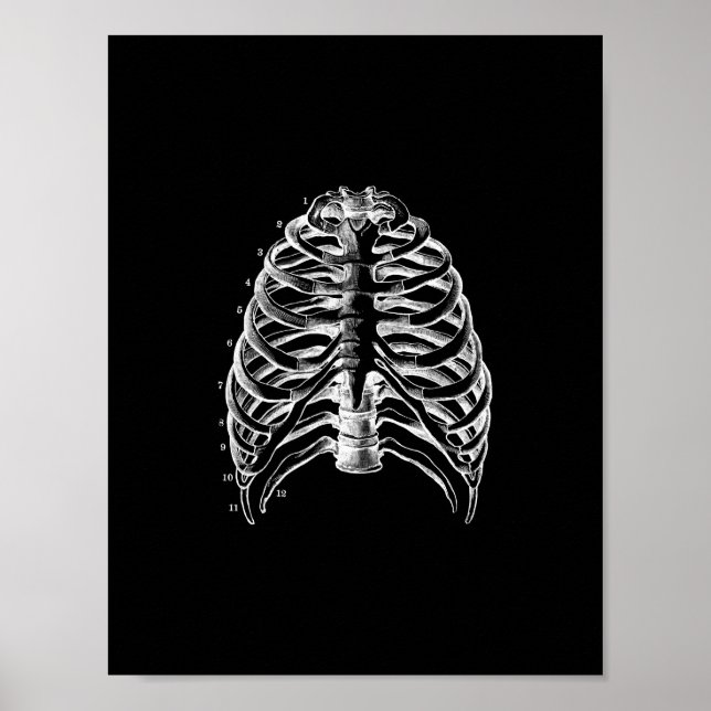 Anatomi i svart och vit utskrift på människa poster (Framsidan)