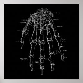 Anatomi Illustration Gamla medicinska handledsband Poster