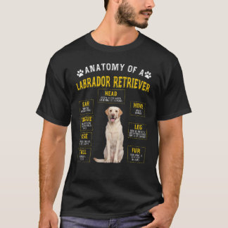 Anatomi Labrador Retriever För Kvinnor Män T Shirt