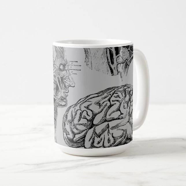 Anatomi Medicinsk Mugg (Framsida höger)