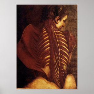 Anatomi/Skelettbildning hos kvinnlig Poster rygg