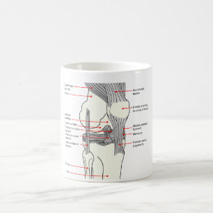 Anatomical diagram av en mänsklig rättighetknäl kaffemugg