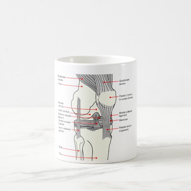 Anatomical diagram av en mänsklig rättighetknäled kaffemugg (Center)