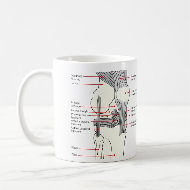Anatomical diagram av en mänsklig rättighetknäled kaffemugg (Vänster)