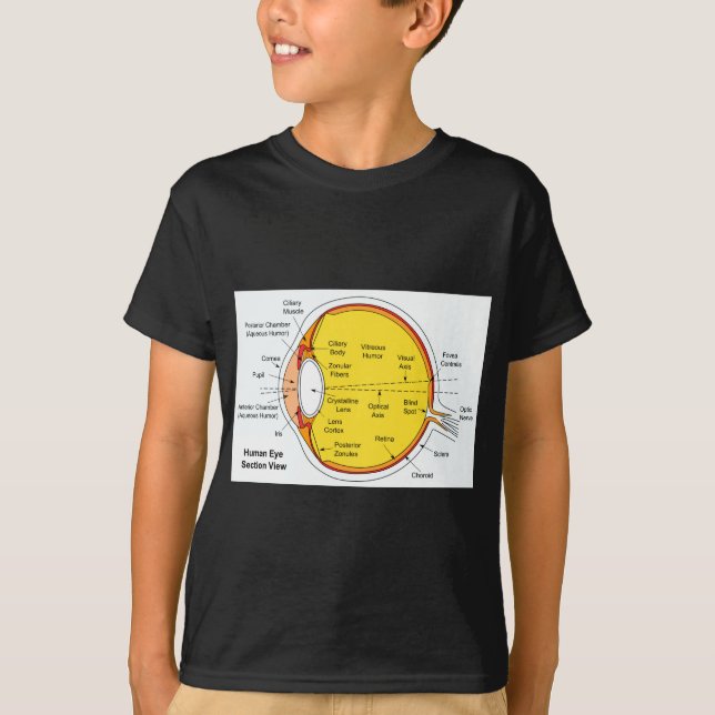 Anatomical diagram av människaögabollen t-shirt (Framsida)