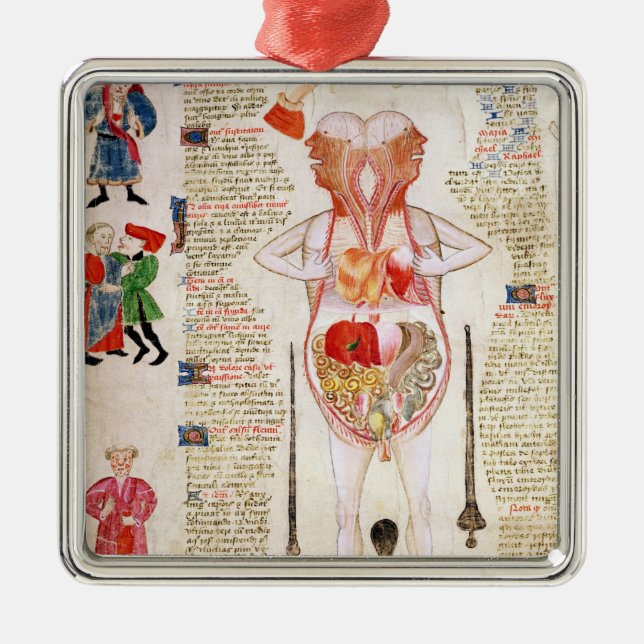 Anatomical diagram julgransprydnad metall (Framsidan)