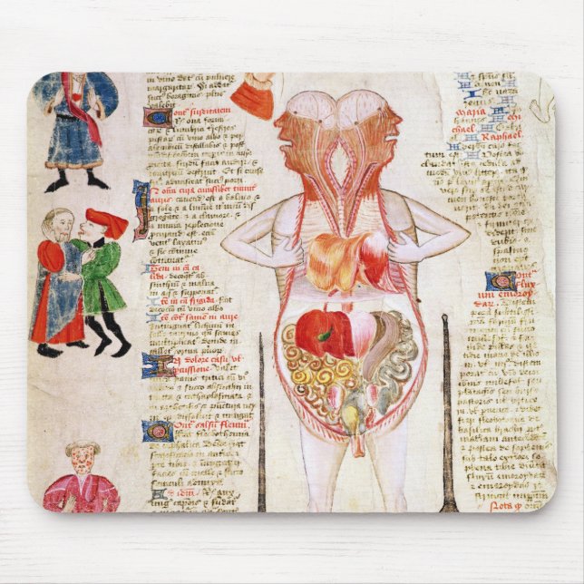 Anatomical diagram musmatta (Framsidan)